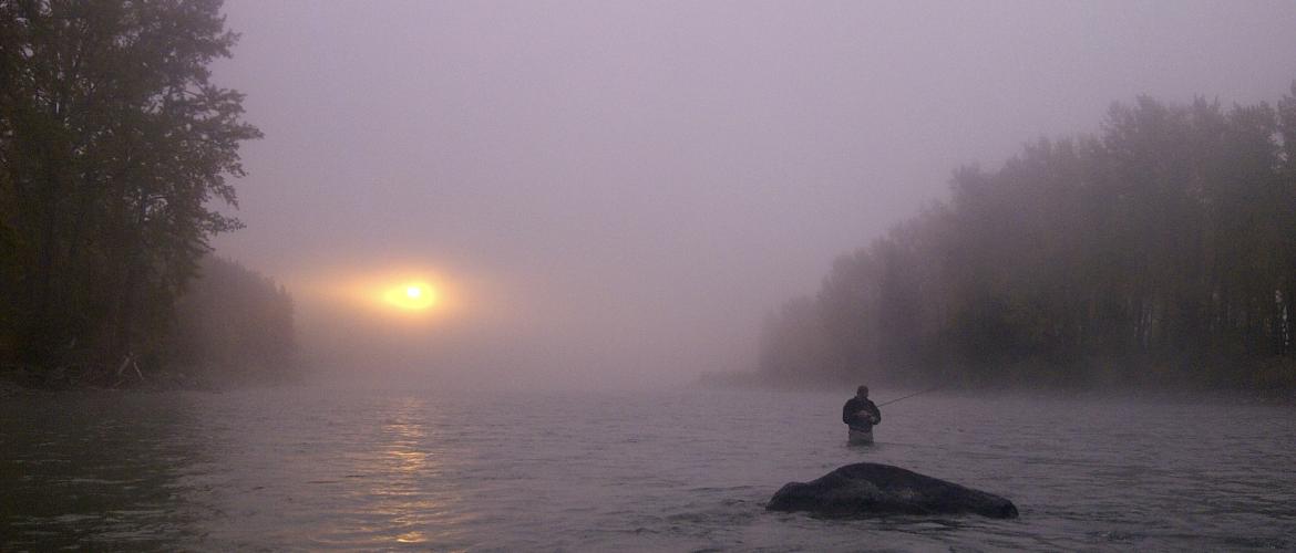 Morning mists